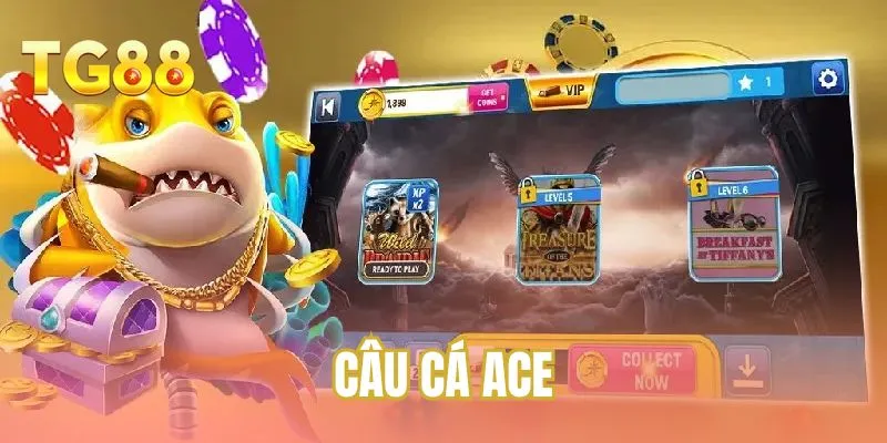 Câu cá ACE