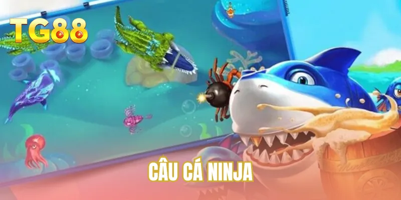 Câu cá Ninja