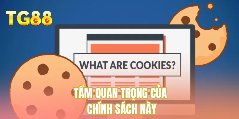 Tầm quan trọng của chính sách này