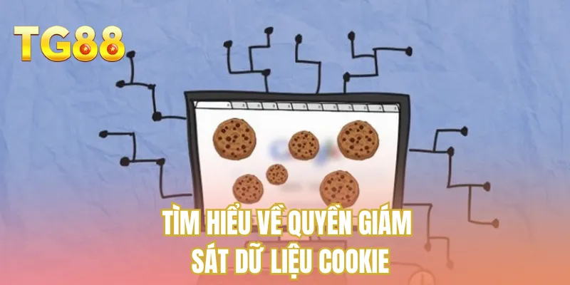 Tìm hiểu về quyền giám sát dữ liệu cookie