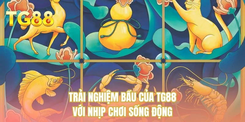 Trải nghiệm bầu của TG88 với nhịp chơi sống động